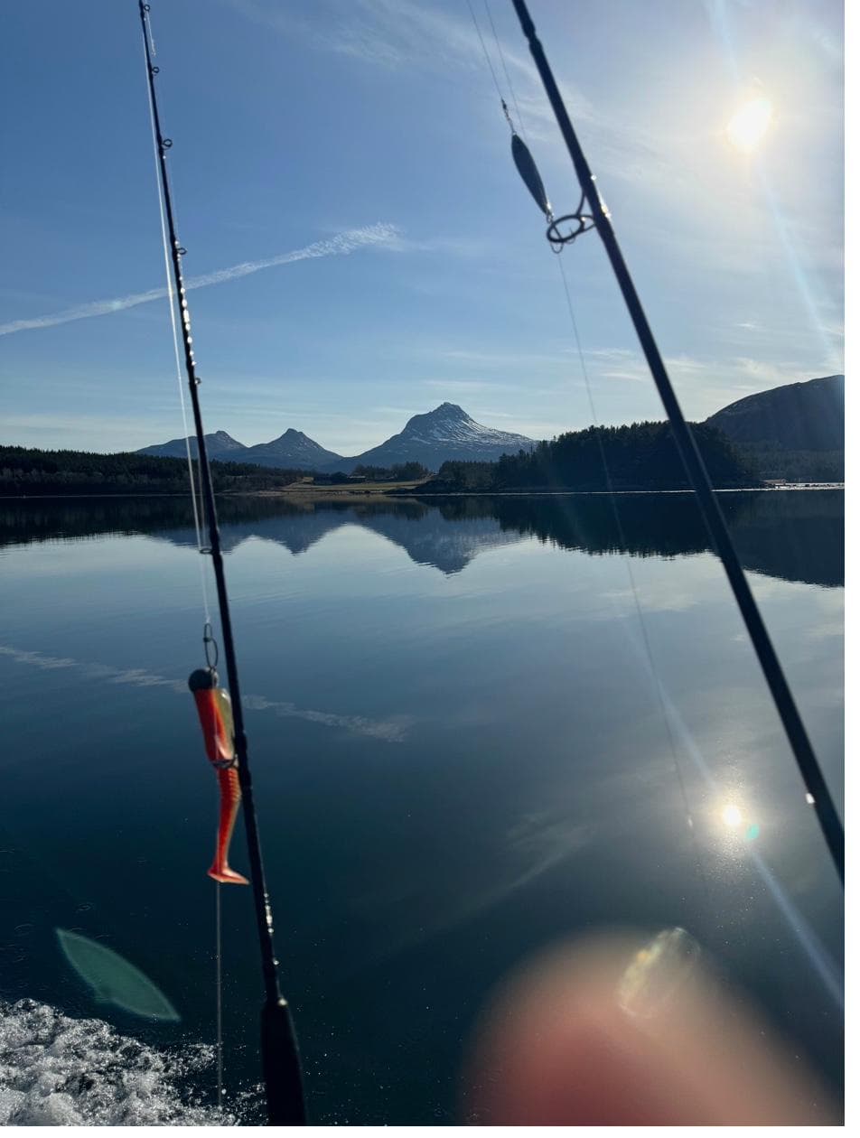 Fishing rods against the fjord with mountain backdrop
