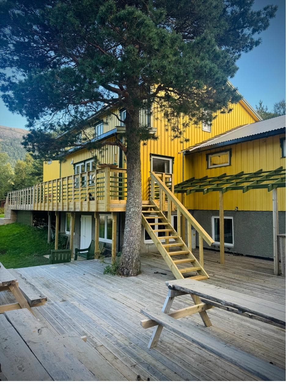 Main house exterior with stairs and pine tree